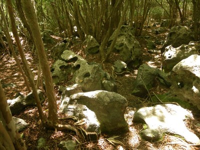 奇岩2.jpg