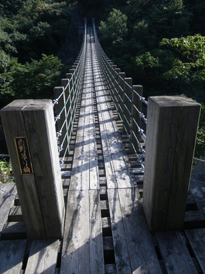 白野吊り橋.jpg