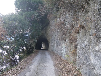 トンネル-1.jpg